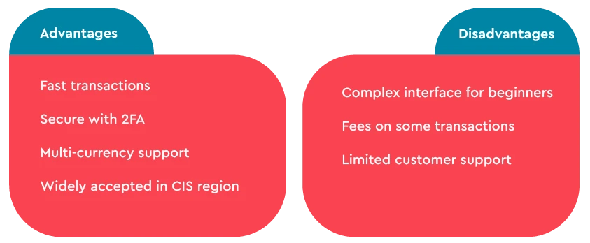 Pros and Cons of WebMoney